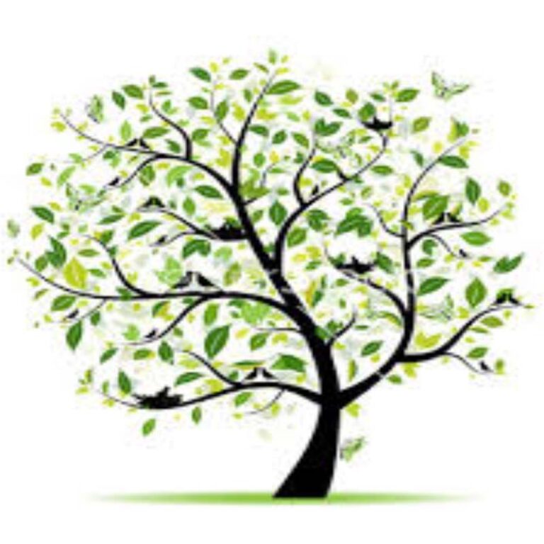 Read more about the article DPPOA Spring Newsletter – 2021