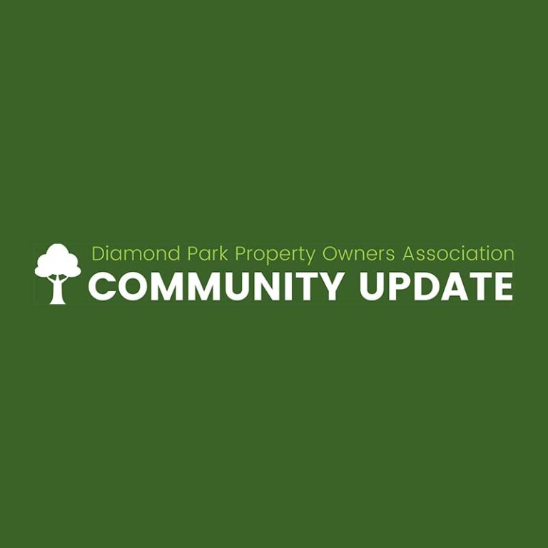 Read more about the article DPPOA Spring/Summer Newsletter 2024